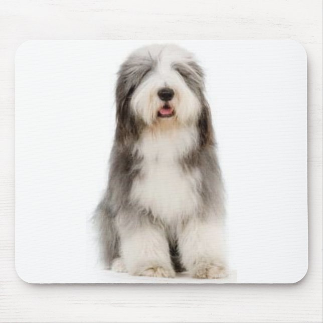 Skäggig Collie Mousepad Musmatta (Framsidan)