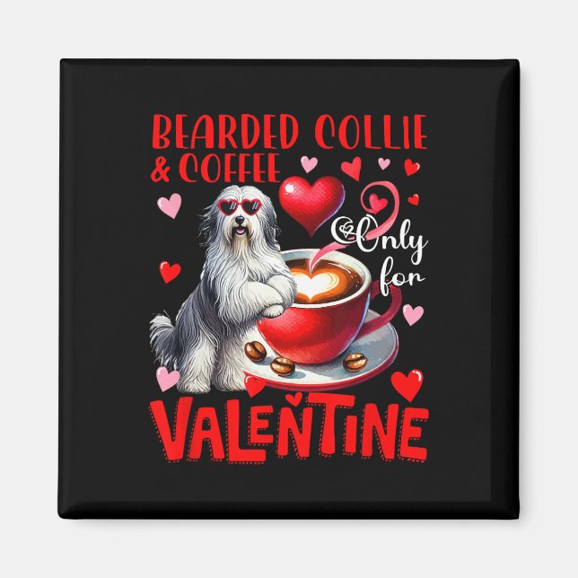 Skäggig Collie och kaffe endast för valentinajoke  Magnet (Framsidan)