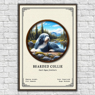 Skäggig Collie Zoologi Serie Poster