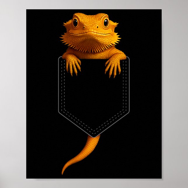Skäggig Drak Cket Söt Exotisk Ödla Reptil Husdjur Poster (Framsidan)