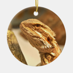 Skäggig drake julgransprydnad keramik