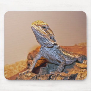 Skäggig drake Mousepad Musmatta