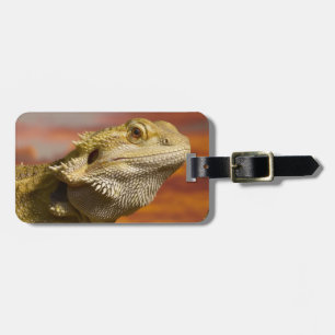Skäggig drake (Pogona Vitticeps) på gren, Bagagebricka
