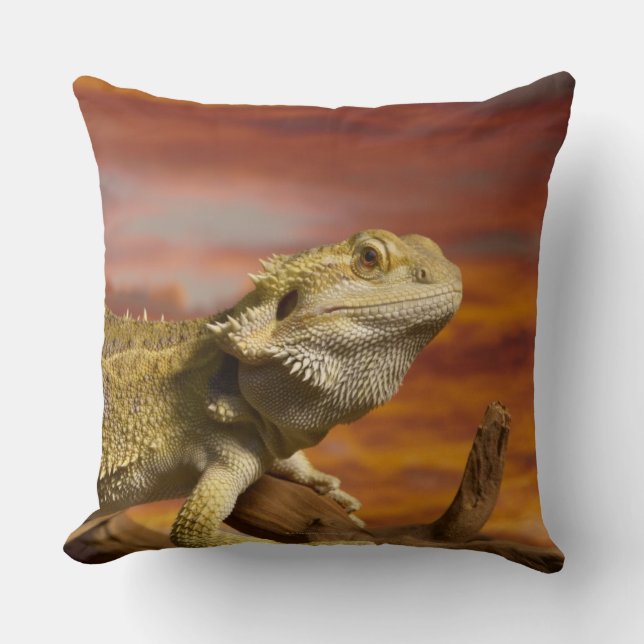 Skäggig drake (Pogona Vitticeps) på gren, Kudde (Framsida)