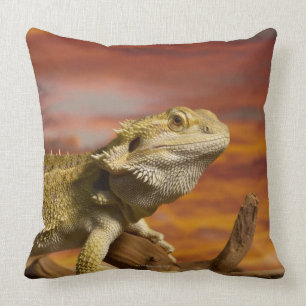 Skäggig drake (Pogona Vitticeps) på gren, Kudde