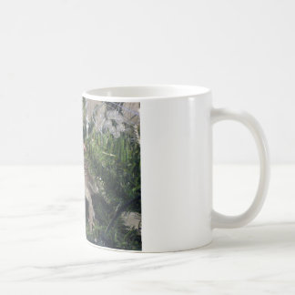 skäggig drake upp julaftonträd kaffemugg