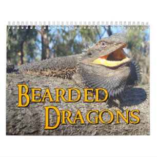 Skäggig drakeväggkalender kalender