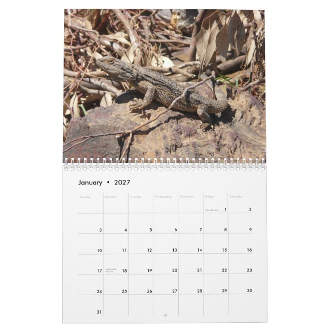 Skäggig drakeväggkalender kalender (Jan 2027)