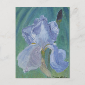 Skäggig Iris för lavendel Vykort