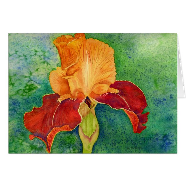 Skäggig iris hälsningskort (Framsidan Horizontal)