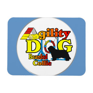 Skäggig kollisionsväxel magnet