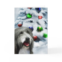 Skäggiga Colliejulgåvor