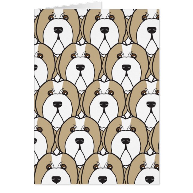 Skäggiga Collies Hälsningskort (Framsidan)