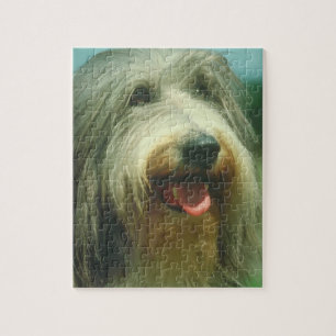 Skäggigt Colliehundpussel Pussel