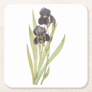skäggiliris (Iris germanica) av Redouté Underlägg Papper Kvadrat
