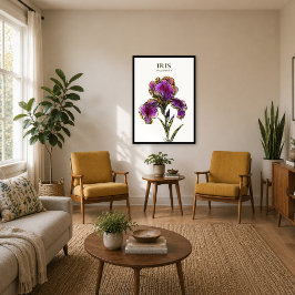 Skäggiris botaniskt konsttryck poster