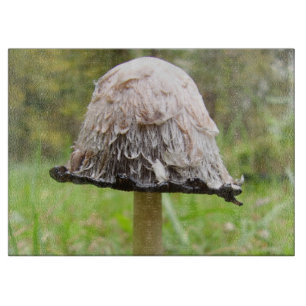 Skaggy Bläck Cap Mushroom Glass Chopping Board