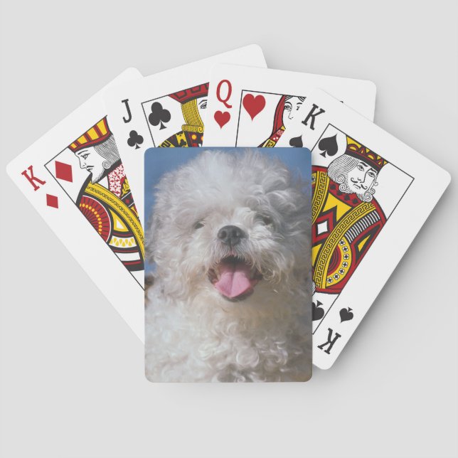 Skaggy Pudel Hund, uppspelningskort Spel Kort (Baksidan)
