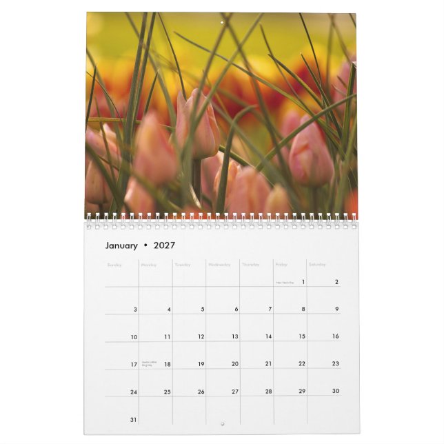 SKAGIT-DALTULIPS. KALENDER (Jan 2027)