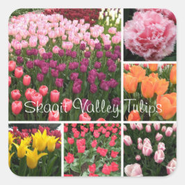 Skagit Valley, WA tulips-dekordekkollage Fyrkantigt Klistermärke