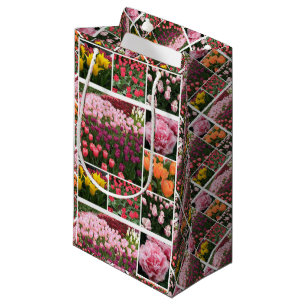 Skagit Valley, WA tulips-gåva tillbaka