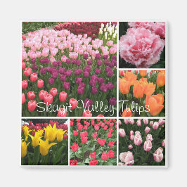 Skagit Valley, WA tulips magnet