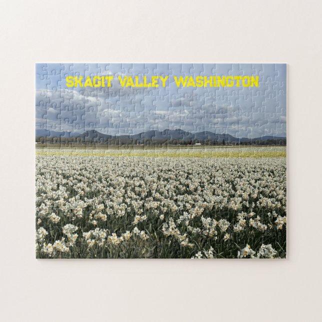 Skagit Valley Washington Narcissfält Pussel (Horisontell)