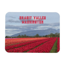 Skagit Valley Washington State Tulpanfält Kylskåp