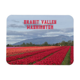 Skagit Valley Washington State Tulpanfält Kylskåp Magnet