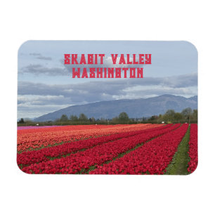 Skagit Valley Washington State Tulpanfält Kylskåp Magnet