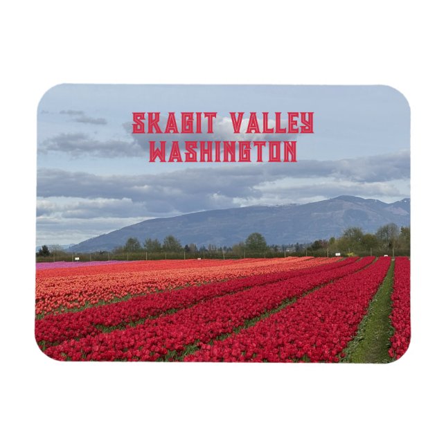 Skagit Valley Washington State Tulpanfält Kylskåp  Magnet (Horisontell)