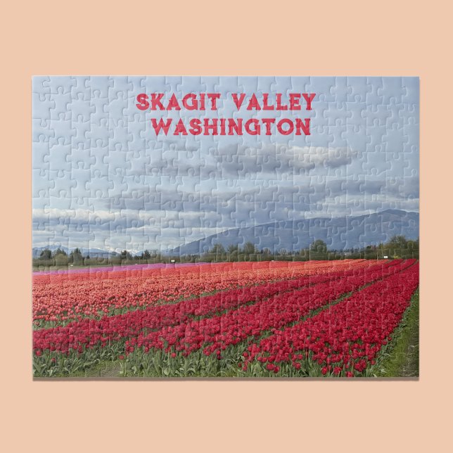 Skagit Valley Washington State Tulpanfält Pussel (Skapare uppladdad)