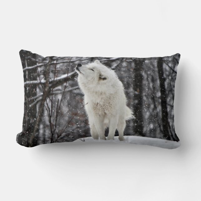 Skaka av det lumbarkudde (Framsida)