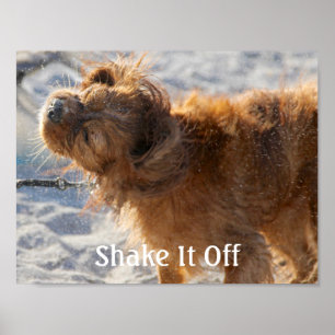 Skaka av det poster