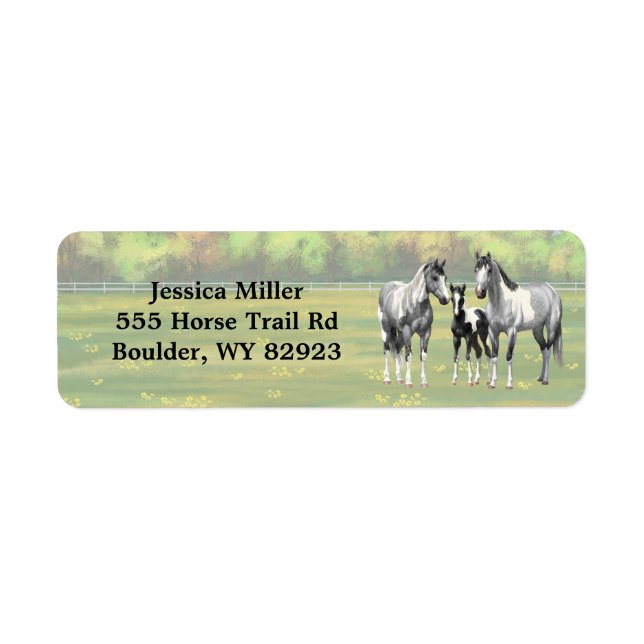 Skaka Grått Pinto Paint Horses under sommarbete Returadress Etikett (Framsidan)