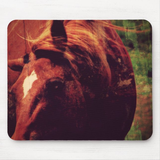 Skaka huvudet musmatta (Framsidan)