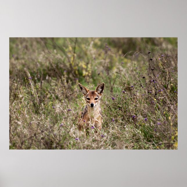 Skakor på gräs poster (Framsidan)