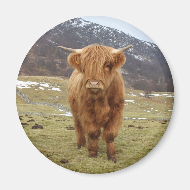 Skål att vara skotsk! magnet (Framsidan)