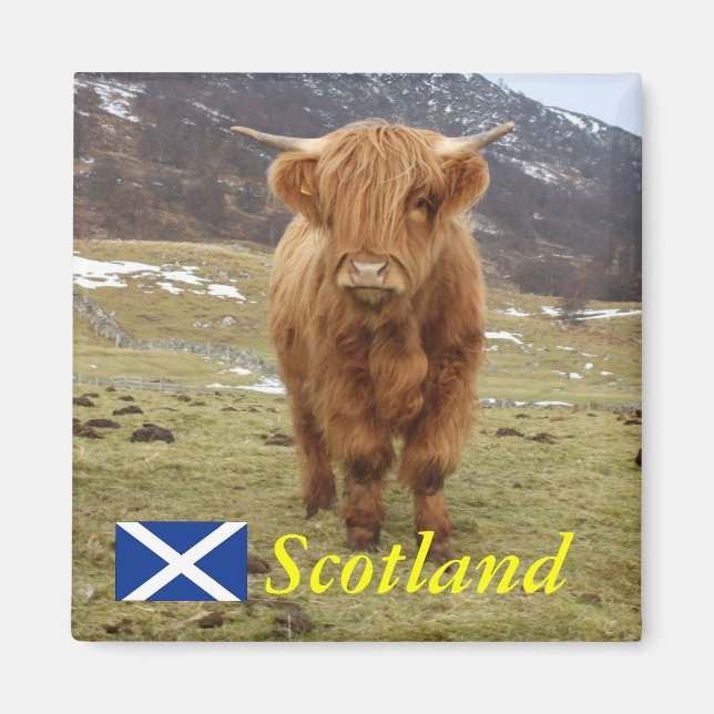 Skål att vara skotsk! magnet (Framsidan)