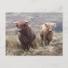 Skål att vara skotsk! vykort