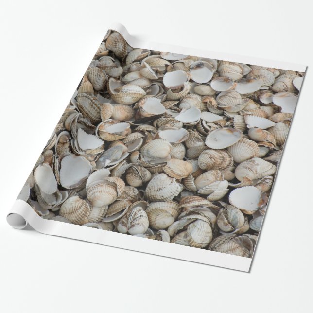 Skal bakgrund presentpapper (Utrullad)