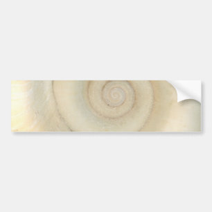 Skal - Conchologi - Vit Spiral Bildekal