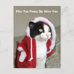 Skal-Fi Parody Cat Funny Post Card Lusnyj Helg Vykort