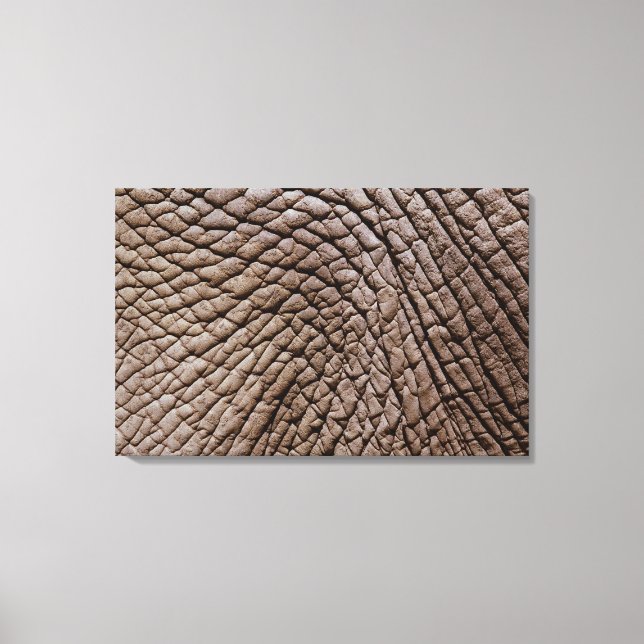 Skal från afrikansk elefant (Loxodonta africana) Canvastryck (Framsida)