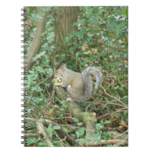 Skål med Acorn Notebook Anteckningsbok Med Spiral
