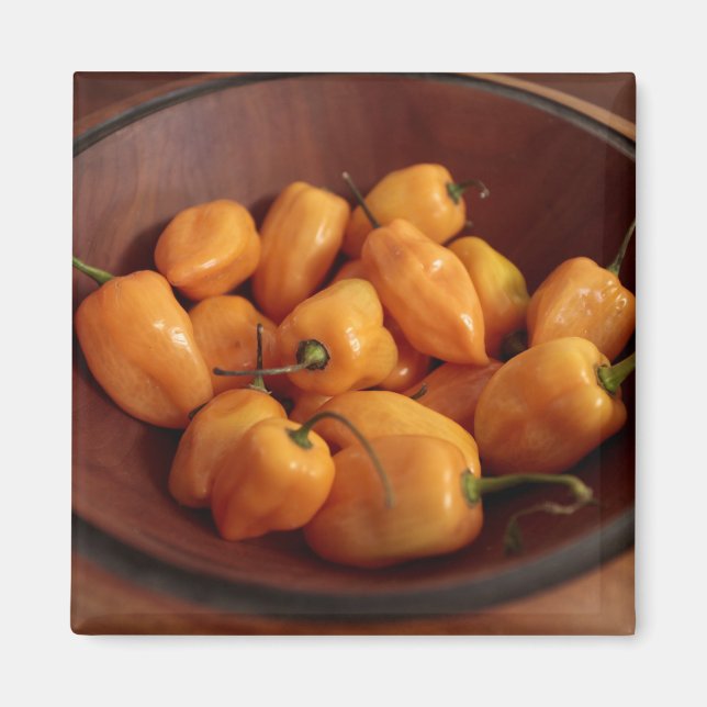 Skål med habaneropeppar, traditionell mat magnet (Framsidan)