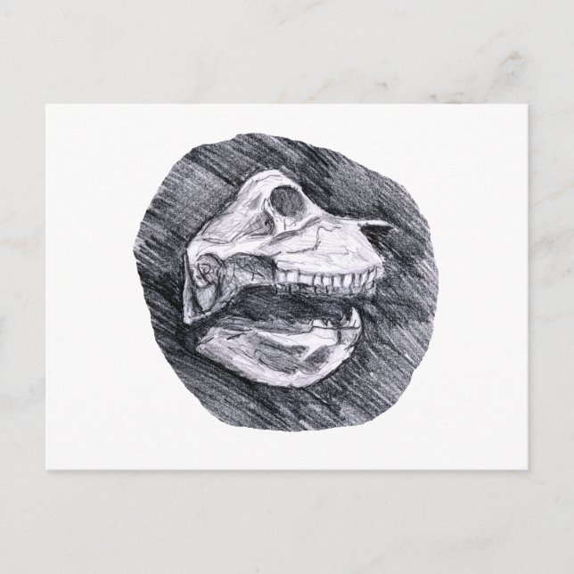 Skål med skiss av tänjdjuret Skull teckning Vykort (Framsida)