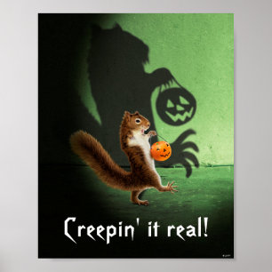 Skalad ekorre poster