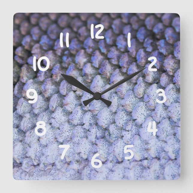 Skalad lax fyrkantig klocka (Framsida)