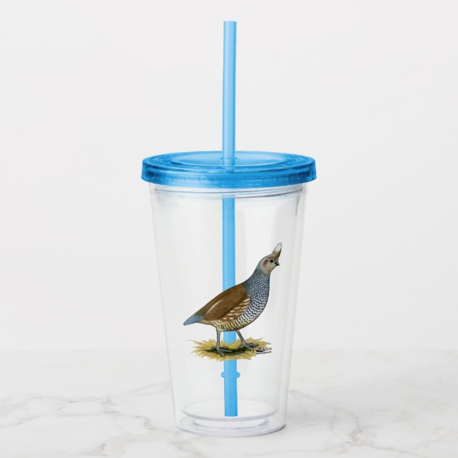 Skalad vaktel take away mugg (Framsida)